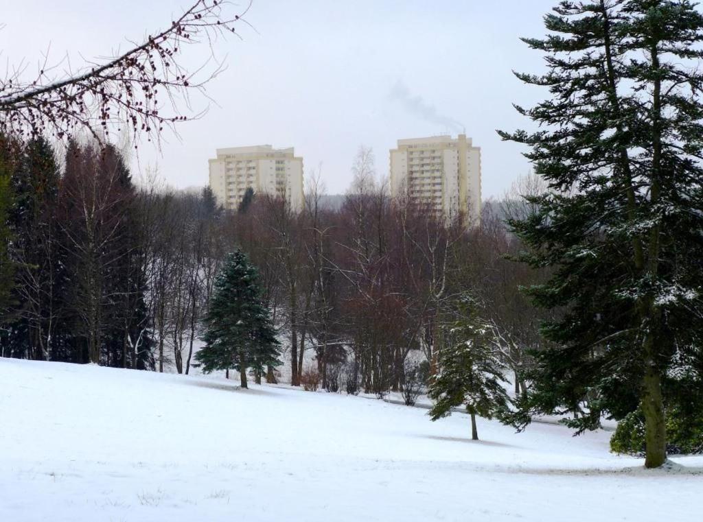 Ferienapartment Mit Schwimmbad Und Bergblick Braunlage Esterno foto